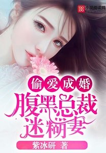 偷爱成婚:腹黑总裁迷糊妻