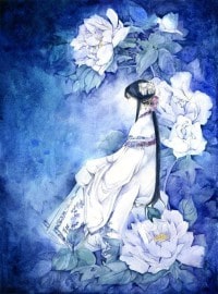 曦光使徒